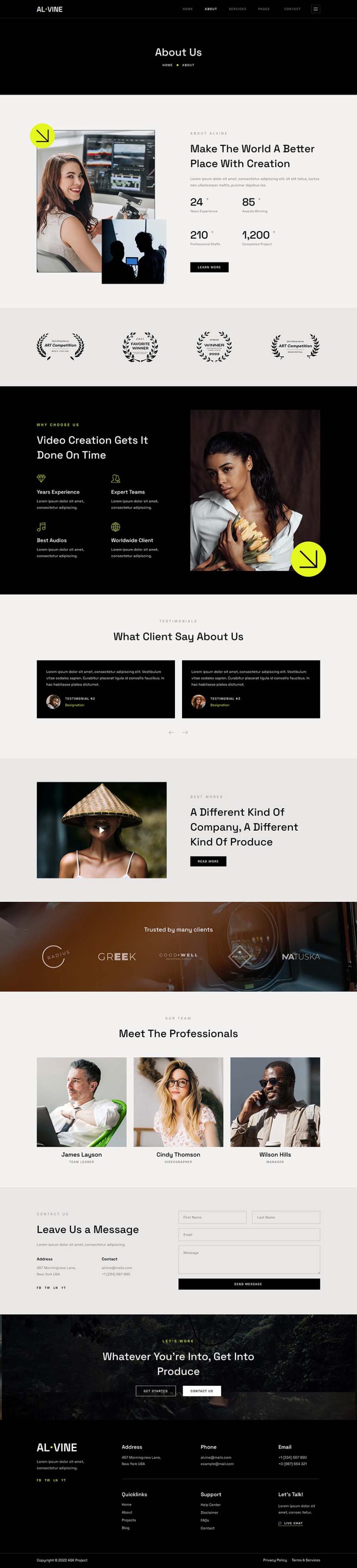 About — Alvine - Film & Video Production Service Elementor Template