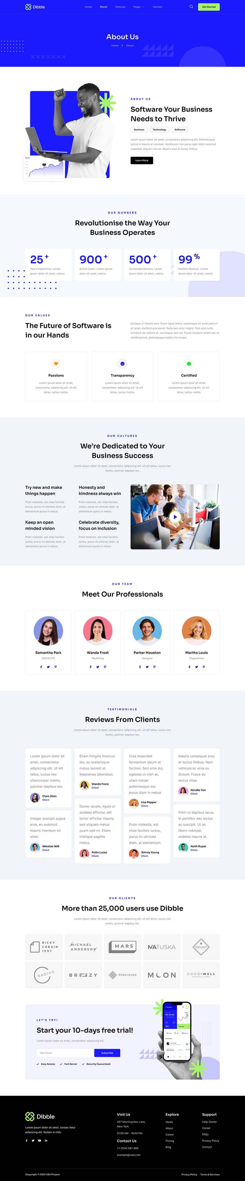 About — Dibble - SaaS & Tech Startup Elementor Template