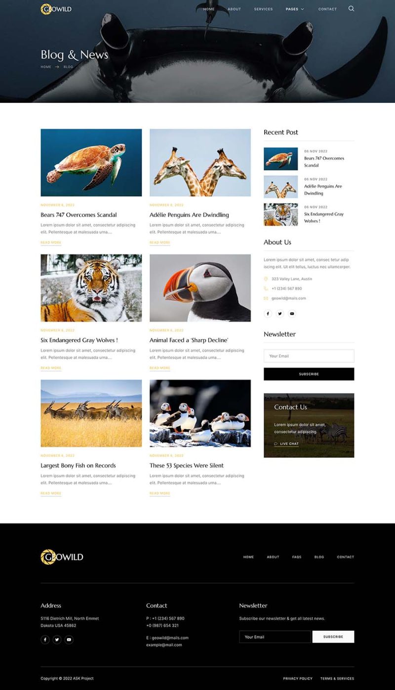 Blog — Geowild - Wildlife Photography Services Elementor Template