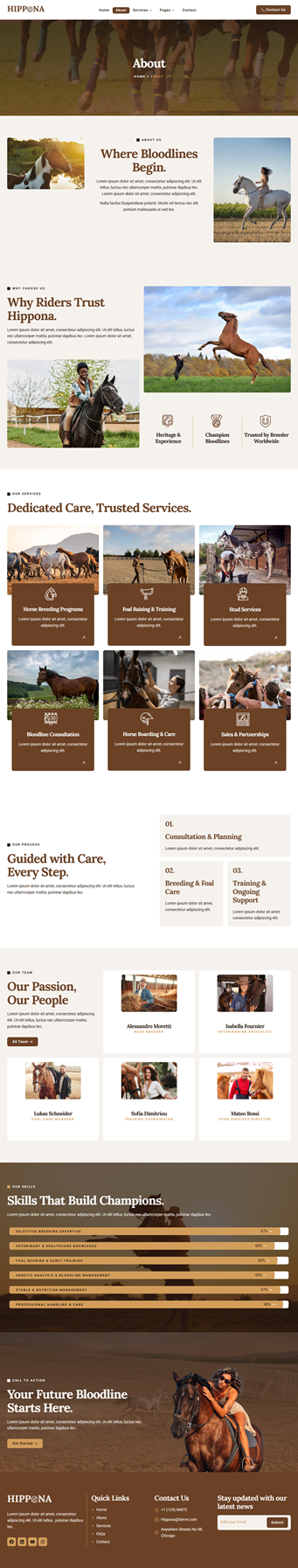 About — Hippona - Horse Breeding Business Elementor Template