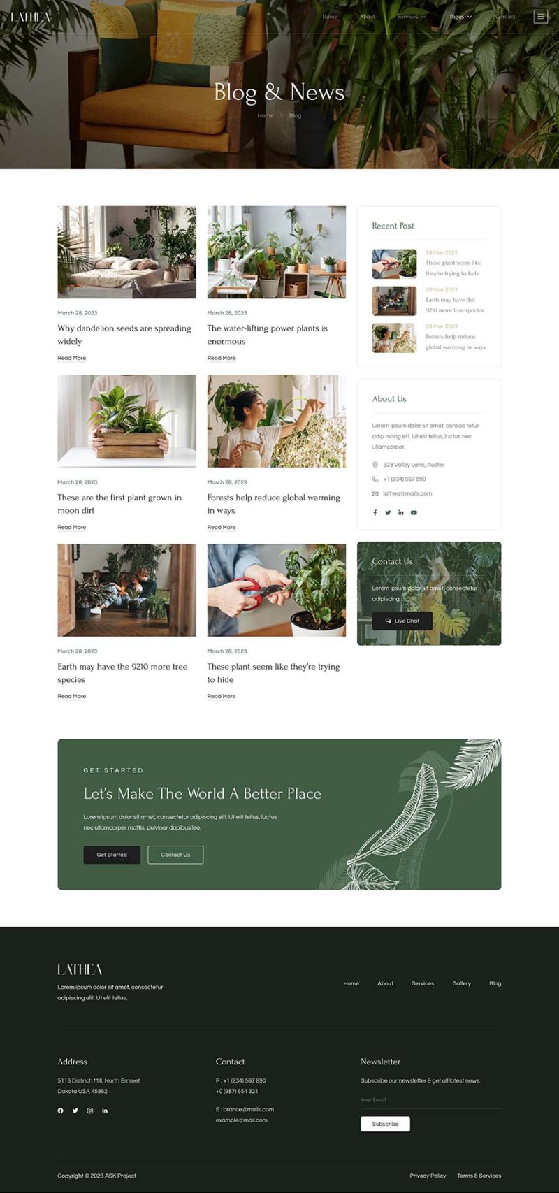 Blog — Lathea - Houseplants & Indoor Garden Elementor Template