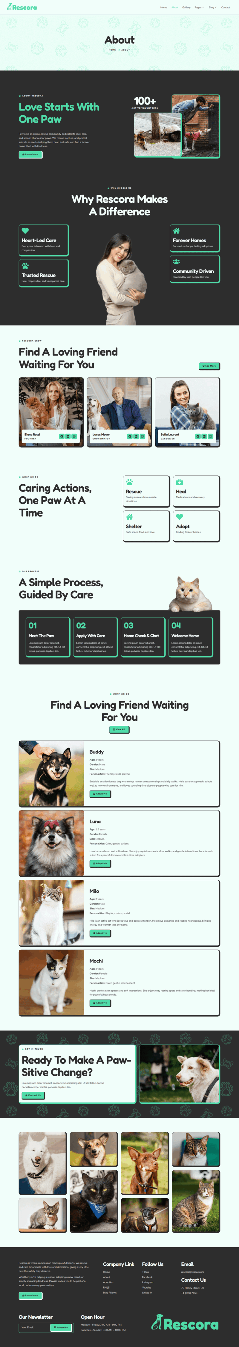 About — Rescora - Animal Shelter Elementor Template