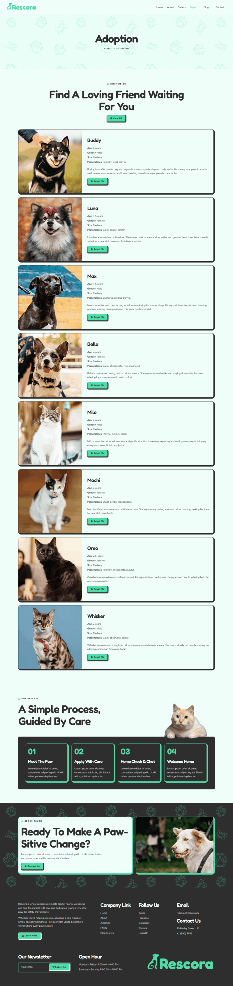 Adoption — Rescora - Animal Shelter Elementor Template